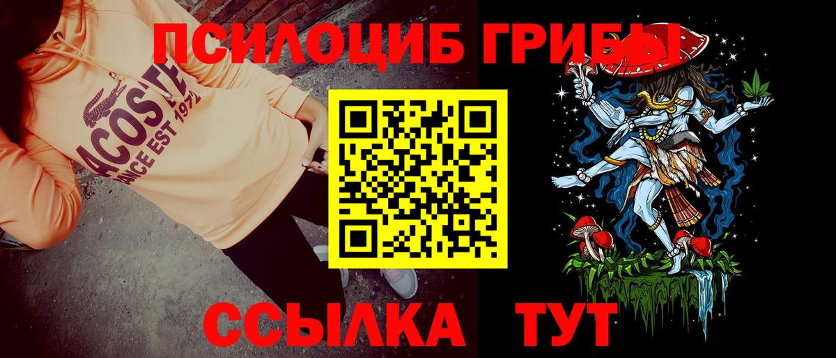 Гуково  Псилоцибиновые грибы Psilocybine cubensis  Вход с VPN 